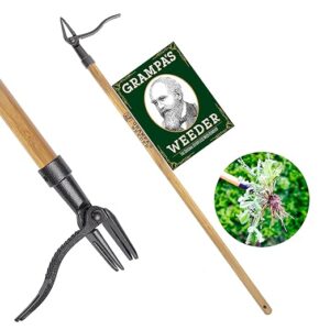 long handle weeding tool to save your back