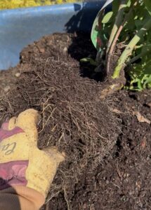 garden gloves,