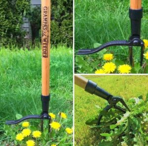 weeding, roots