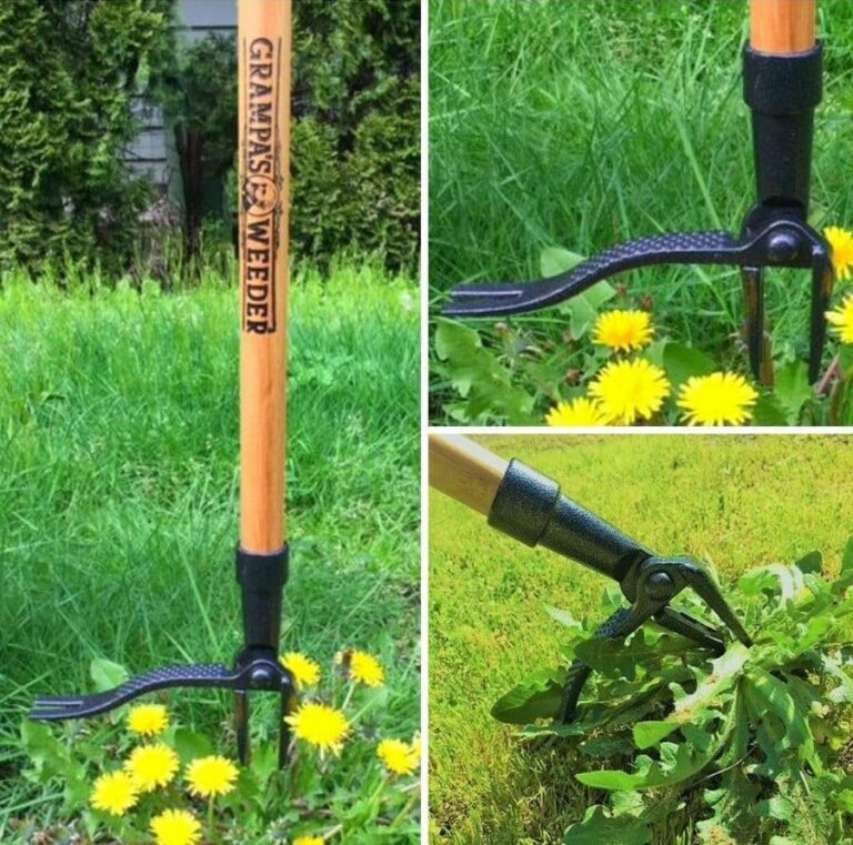 weeding, roots