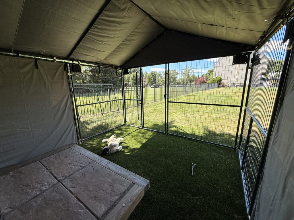 dog pen enclosure
