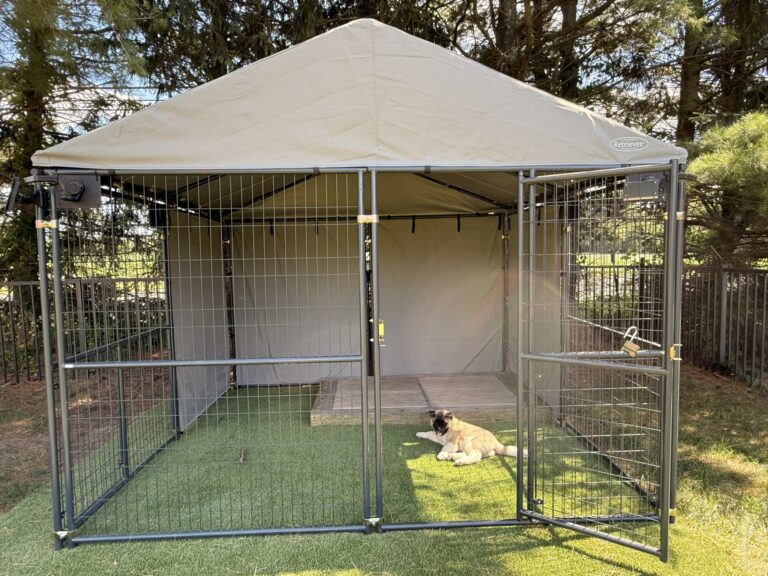 Retreiver Dog pen enclosure