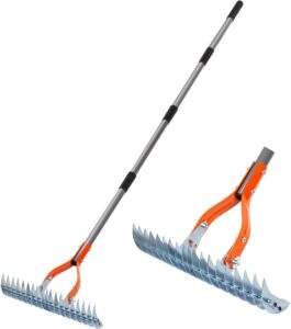 Long handle thatch rake is used to remove dead grass