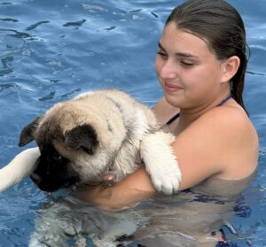 akita puppy Kodi in the pool